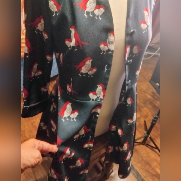 Miss Yan Bird Patterned Dark Academia Teacher Button Up Dress Size Small - Picture 11 of 13